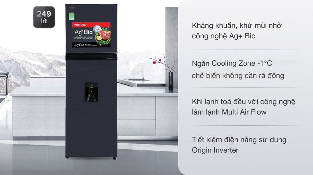 Ảnh Tủ lạnh Toshiba Inverter 249 lít GR-RT325WE-PMV(06)-MG
