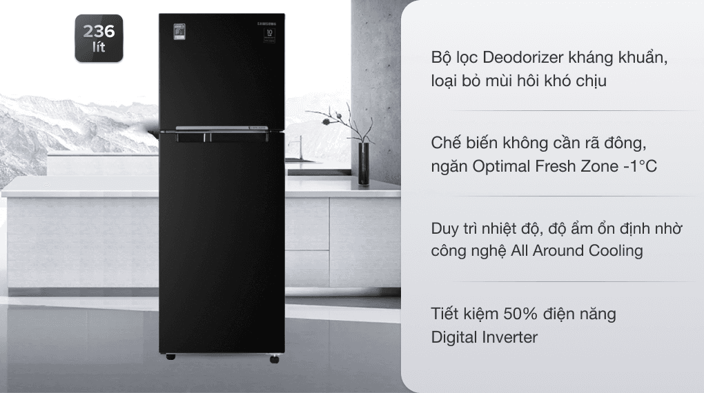 Ảnh Tủ lạnh Samsung Inverter 236 lít RT22M4032BU/SV