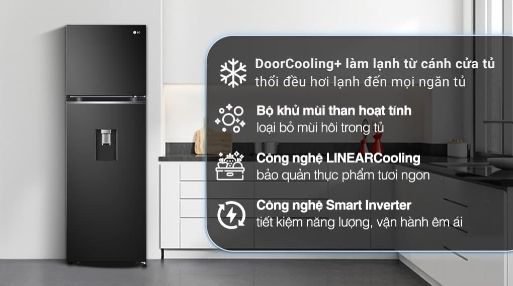 Ảnh Tủ lạnh LG Inverter 264 Lít GV-D262BL