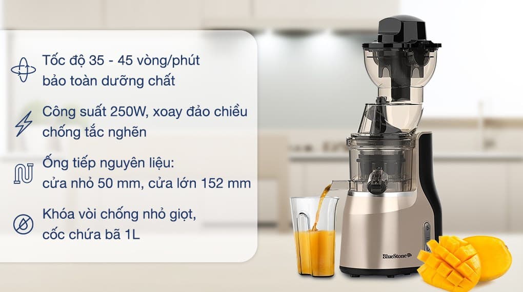 Ảnh Máy ép chậm BlueStone SJB-6568
