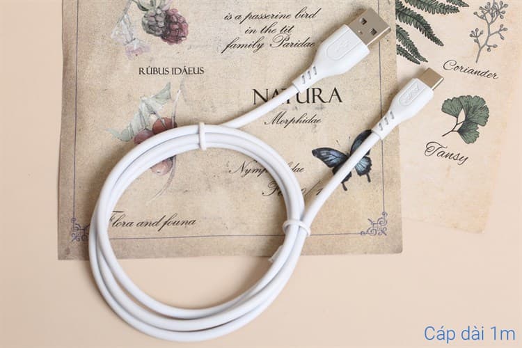 Ảnh Cáp Type C 1m AVA+ DS07