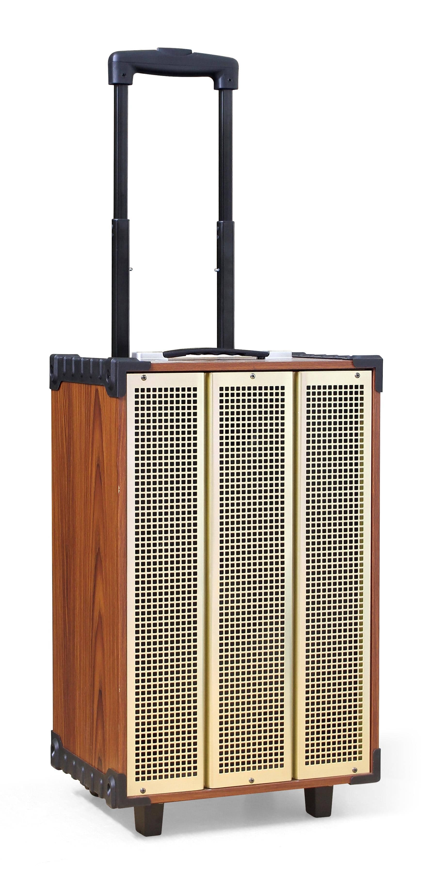 Ảnh Loa điện Arirang MKS1 (kèm 2 mic) 300W Bass 30cm 12''