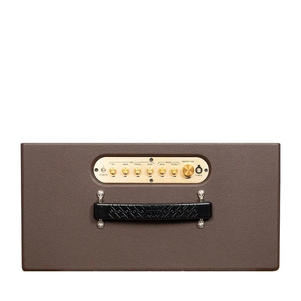 Ảnh Loa xách tay Acnos CS366 plus 750w (2 mic)