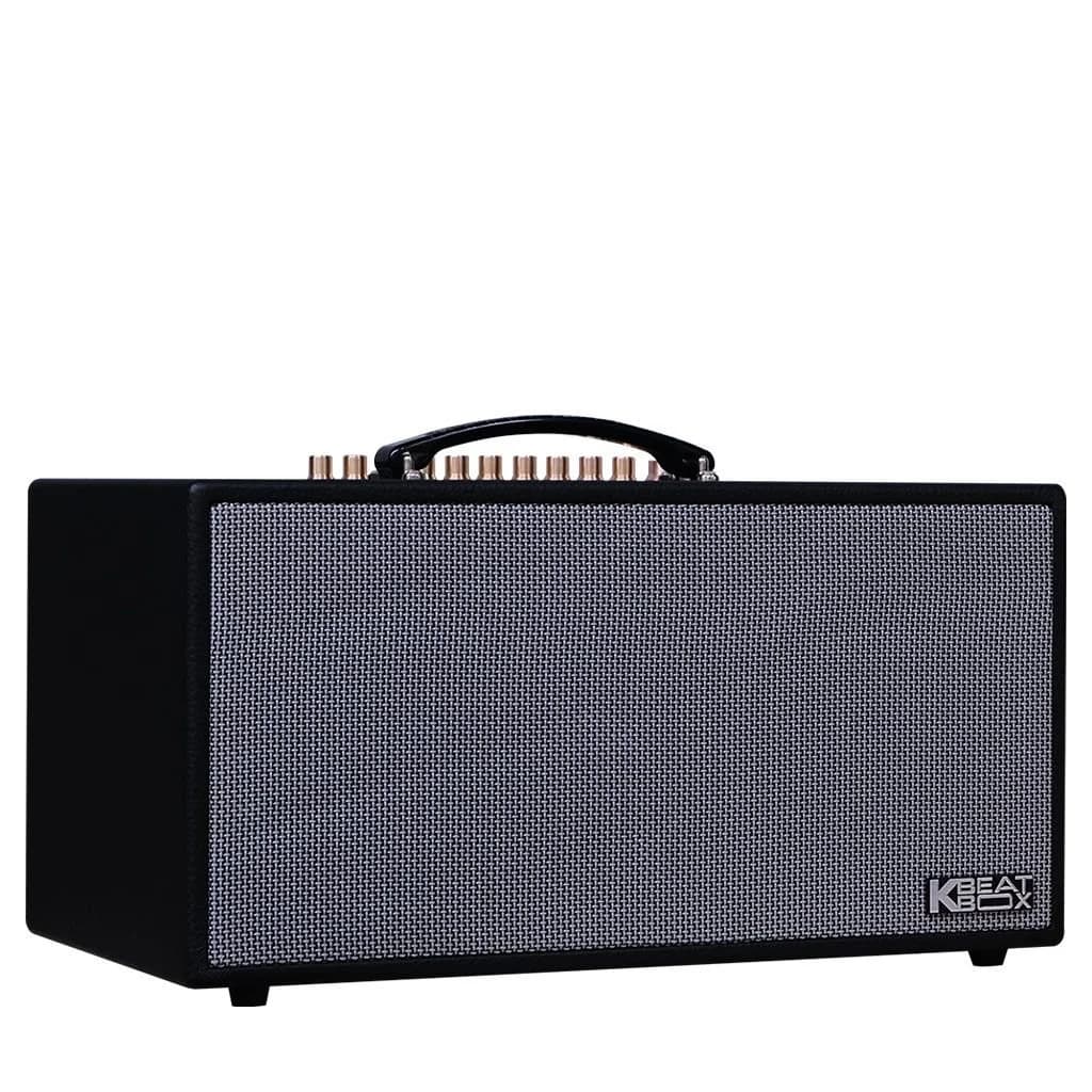 Ảnh Loa xách tay Acnos 750W CS450ALPHA (2 mic)