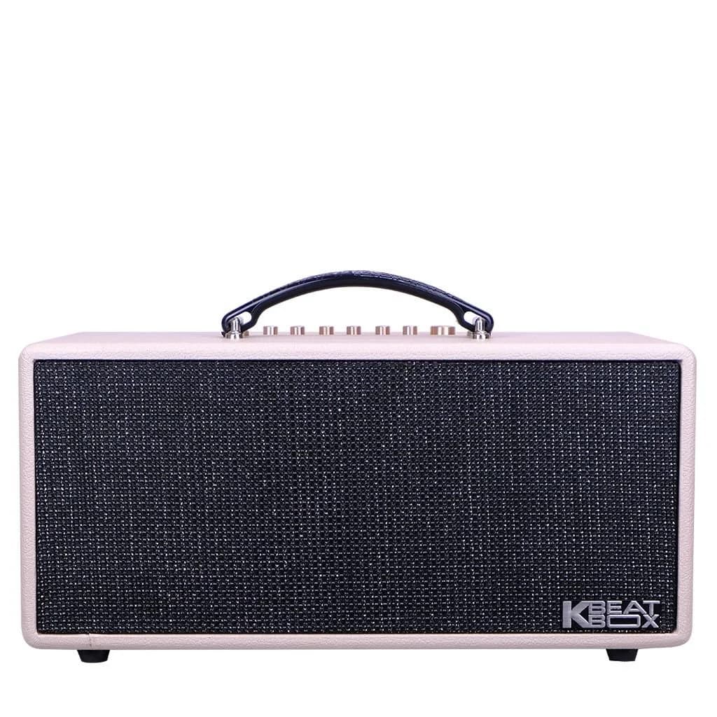 Ảnh Loa xách tay Acnos 500W KS363H (2 mic)