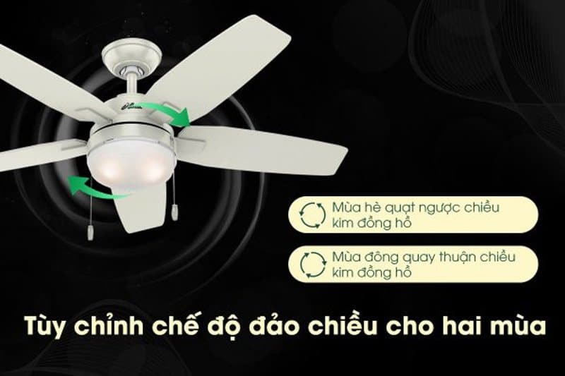 Ảnh Quạt Trần Luxuryfan Hunter Arcot 50647