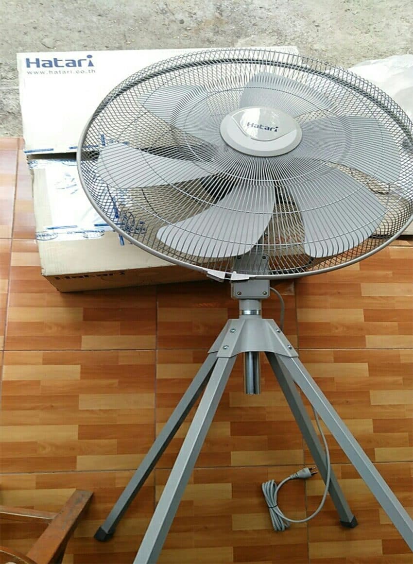 Ảnh Quạt cây công nghiệp Hatari IQ-25M1-Thailand