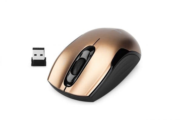 Ảnh Chuột máy tính không dây Newmen F266 - Coffe