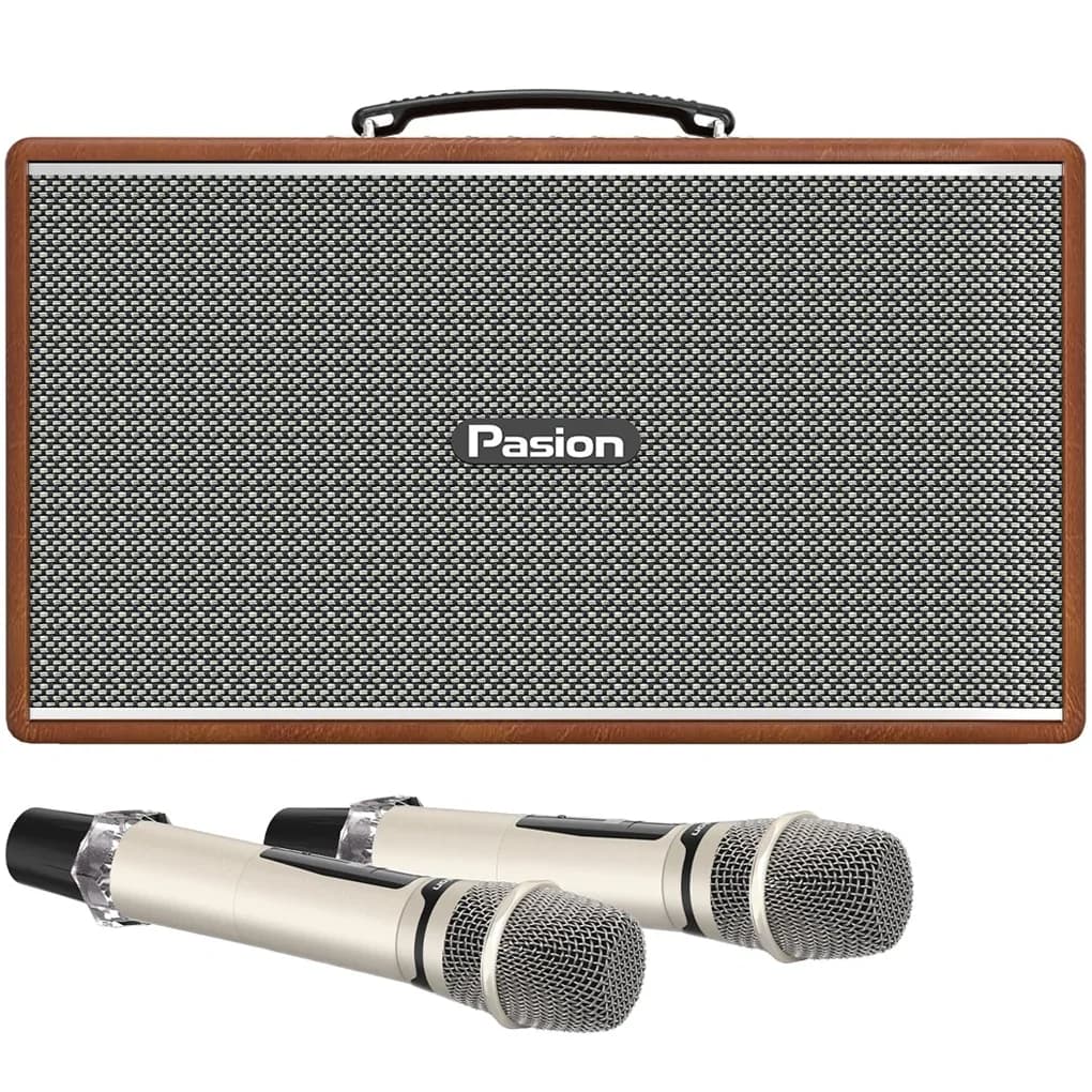 Ảnh Loa Di Động Xách Tay Paramax PASION Enzo (Brown Leather)