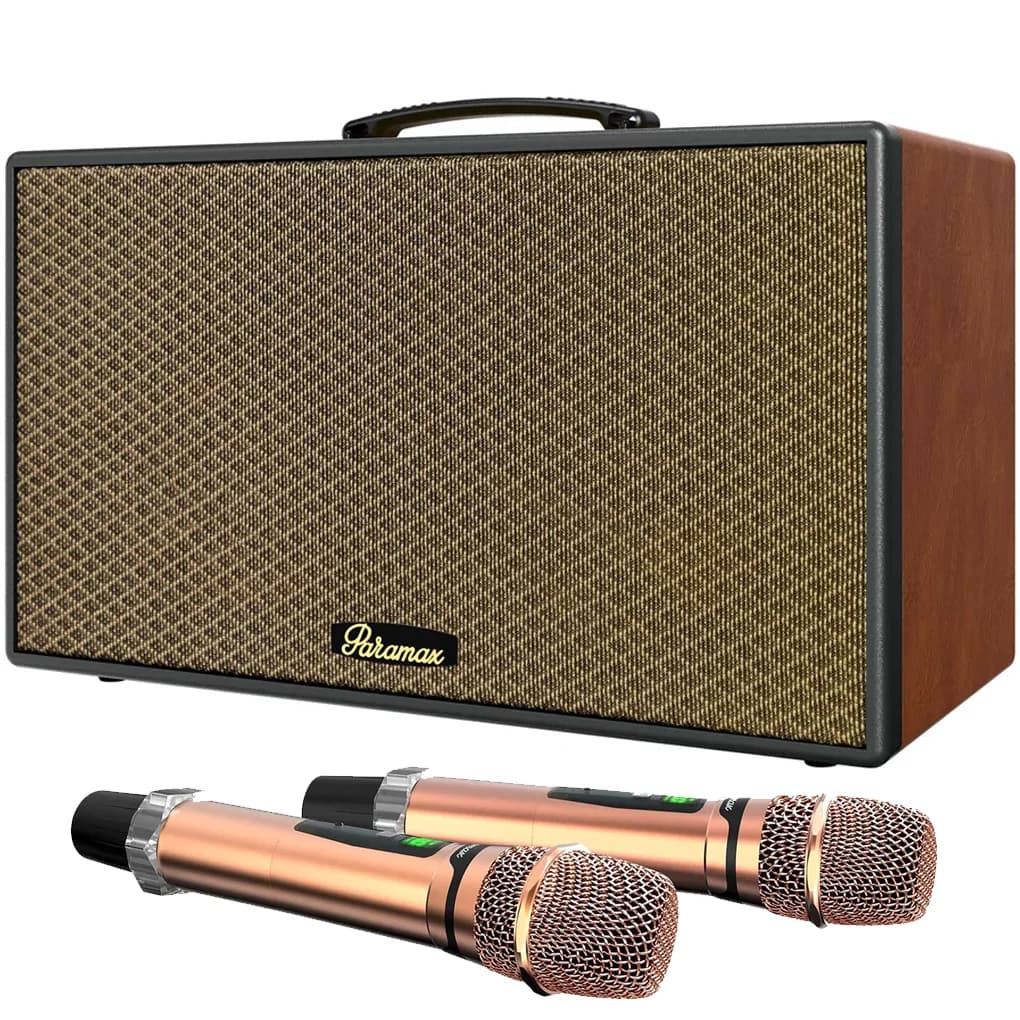 Ảnh Loa Karaoke Di Động Xách Tay Paramax Aura (Brown Leather)
