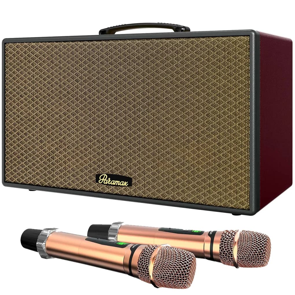 Ảnh Loa Karaoke Di Động Xách Tay Paramax Aura (Burgundy Leather)
