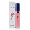 Ảnh Son dưỡng môi AROMA Hi-tech Lip Polish