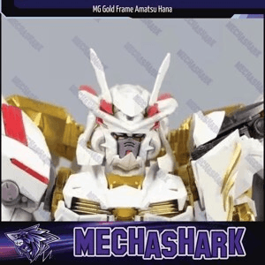 Ảnh Mô hình lắp ráp RG 1/144 Gundam Astray Gold Frame Amatsu Hana