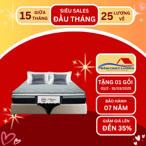 Ảnh Đệm lò xo cối Tuấn Anh Adaptive