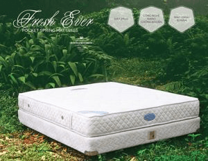 Ảnh Nệm lò xo Hanvico Fresh Ever Hanvico 24cm