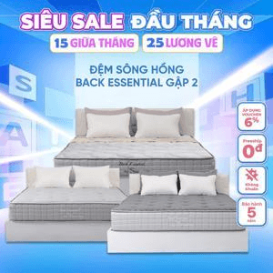 Ảnh Đệm Sông Hồng Essential 120 x 200