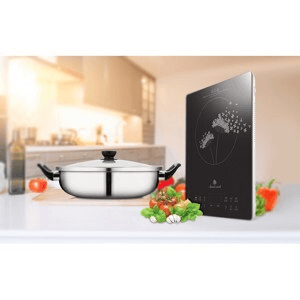 Ảnh Bếp từ dương 1 vùng nấu Elmich Smartcook ICS-3876
