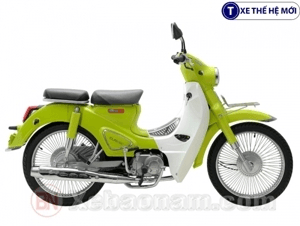 Ảnh Xe máy 50cc Cub Ally Classic