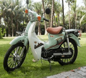 Ảnh Xe máy 50cc Cub 81 Victoria