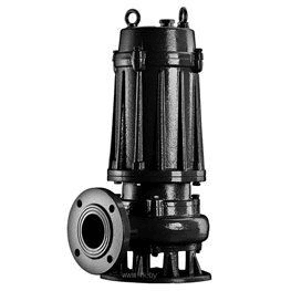 Ảnh Máy bơm chìm nước thải CNP 80WQ40-30-7.5