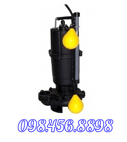Ảnh Bơm chìm hút nước thải EBARA 50DVSA 5.75
