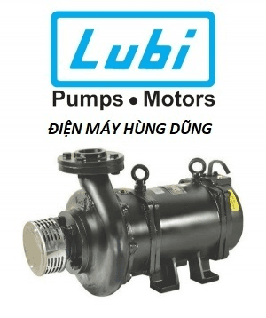 Ảnh Máy bơm chìm trục ngang Lubi LHL-3 3 HP