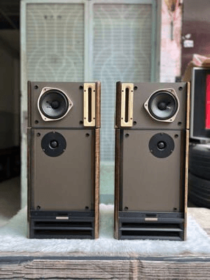 Ảnh Loa Bose 363