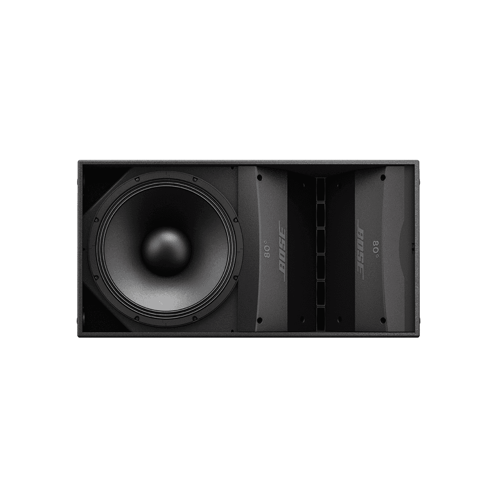 Ảnh Loa Bose ARENAMATCH AM10