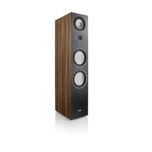Ảnh Loa Canton GLE 100