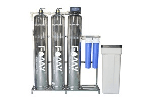 Ảnh Hệ thống lọc tổng lọc đầu nguồn Famy LT031AI