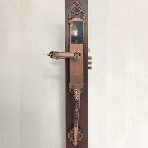 Ảnh Khóa vân tay cổ điển IKS L005-RG