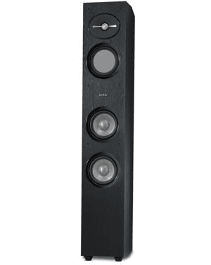 Ảnh Loa Infinity R253