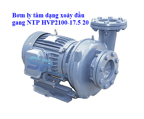 Ảnh Máy bơm ly tâm dạng xoáy đầu Gang NTP HVP2100-17.5 20 (10HP)