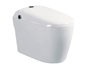 Ảnh Bồn cầu điện tử D&K DK AC1229
