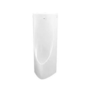 Ảnh Bồn tiểu nam Toto USWN900AE/HHF90603