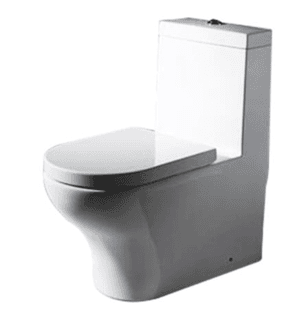 Ảnh Bồn cầu 1 khối Bravat C2181UW-3B-ENG