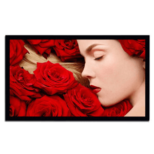 Ảnh Màn chiếu DNP Core 130 inch (2.35:1)