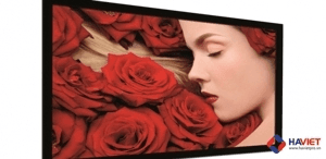 Ảnh Màn chiếu DNP Core 100 inch