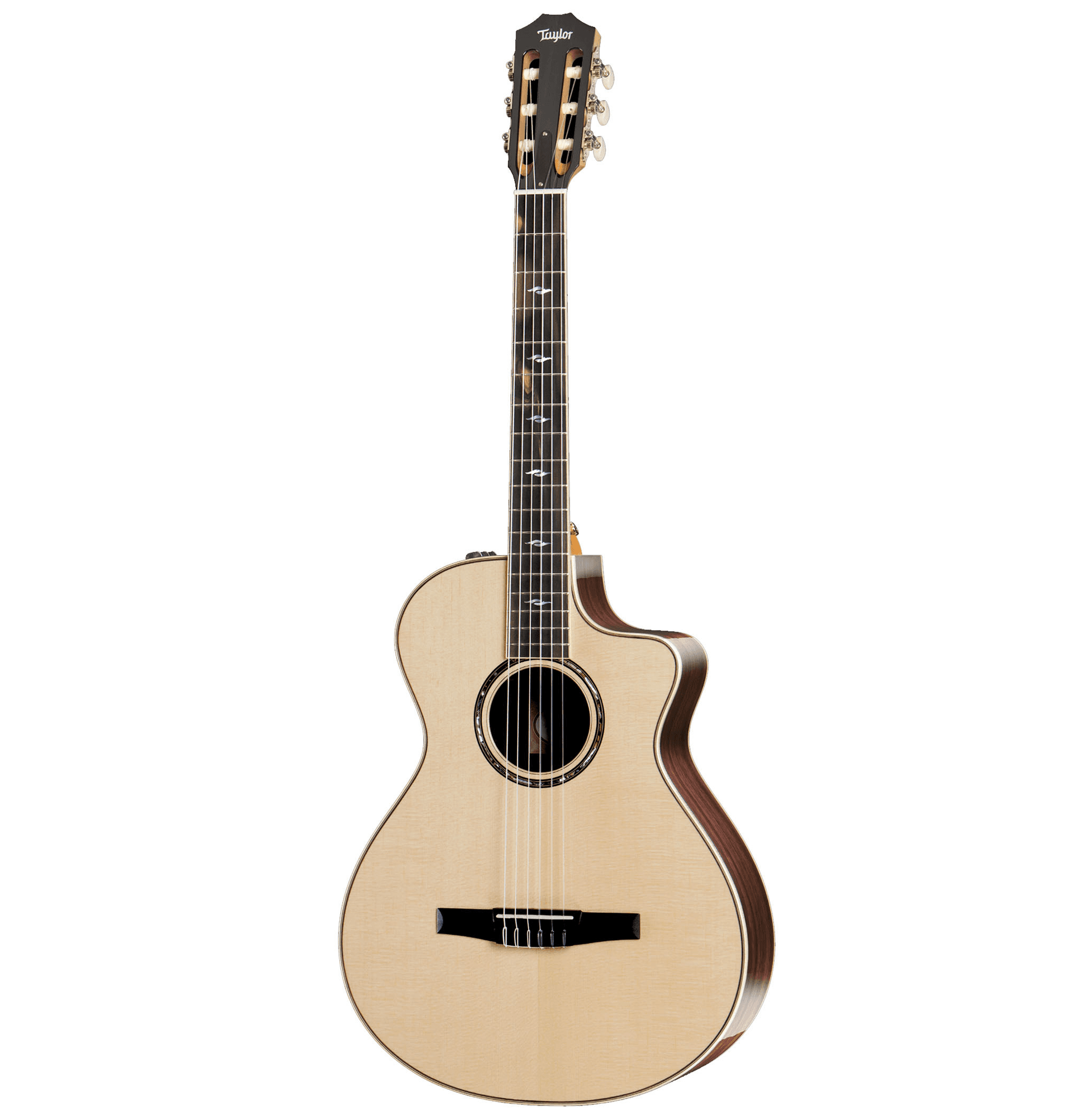 Ảnh Đàn Guitar Acoustic Taylor 812ce-N