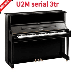 Ảnh Đàn Piano Yamaha U2M