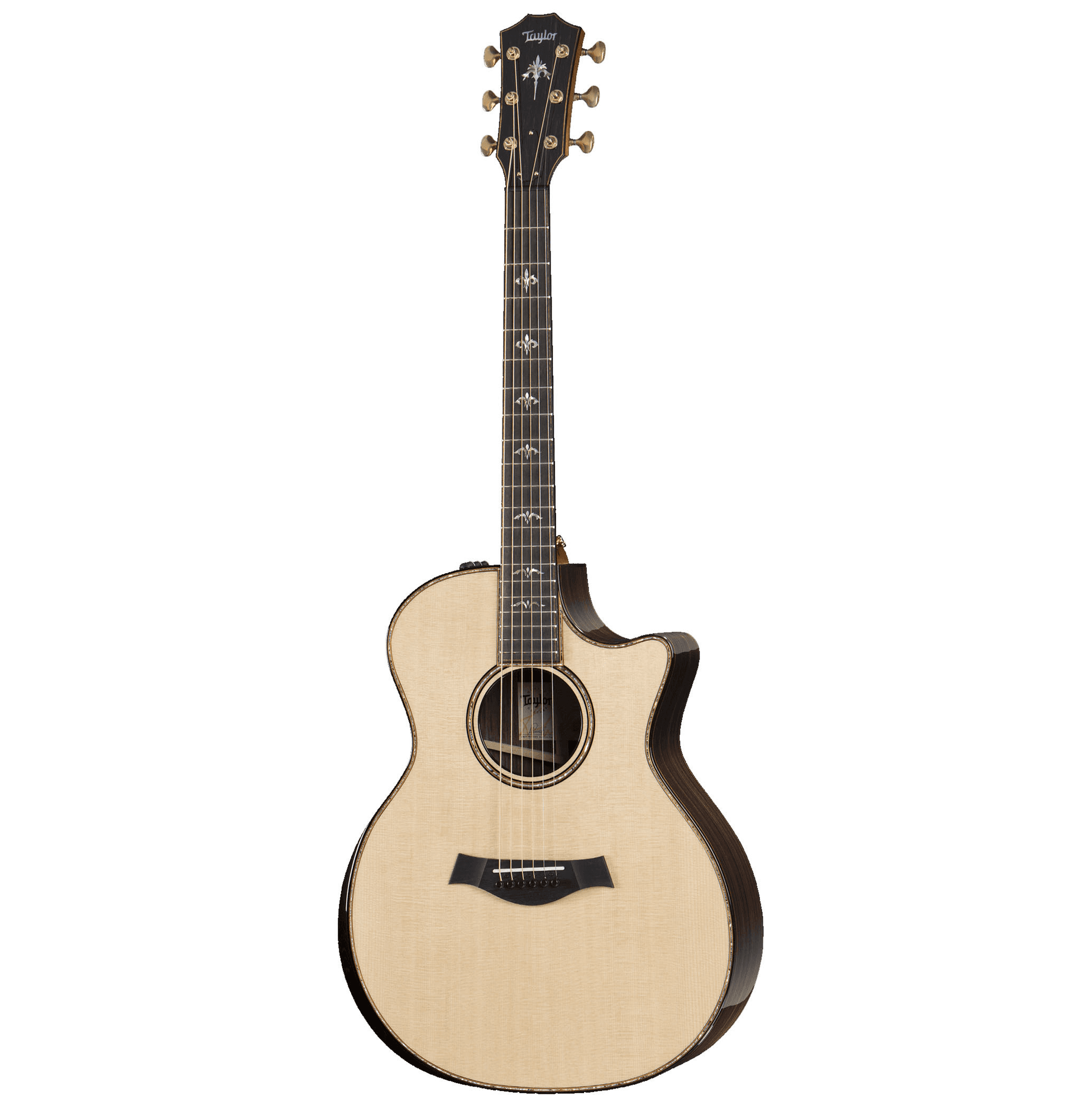 Ảnh Đàn Guitar Taylor 914CE