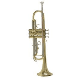 Ảnh Kèn Selmer TR650