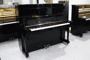 Ảnh Đàn piano FukuYama & Sons Wilhelm