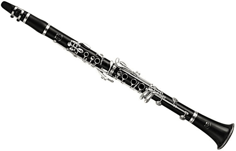 Ảnh Kèn Yamaha Clarainet YCL-450