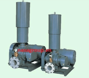 Ảnh Máy thổi khí Tsurumi RSR-50