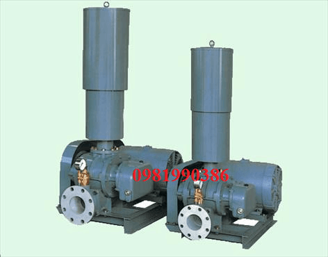 Ảnh Máy thổi khí Tsurumi RSR-100