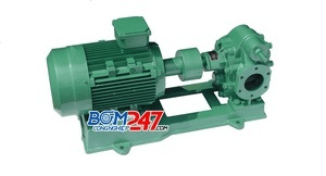 Ảnh Máy bơm bánh răng KCB 483.3
