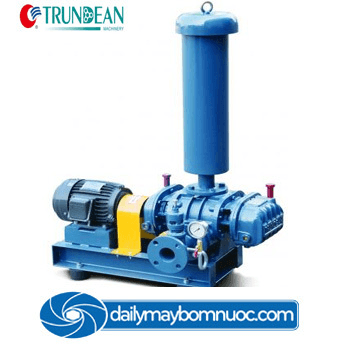 Description