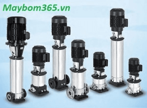 Ảnh Máy bơm trục đứng đa tầng cánh Ebara EVMS-3-23F5/2.2 - 3HP