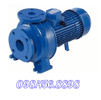 Ảnh Máy bơm ly tâm trục ngang đầu gang Ebara 3D 40-200/11 15HP